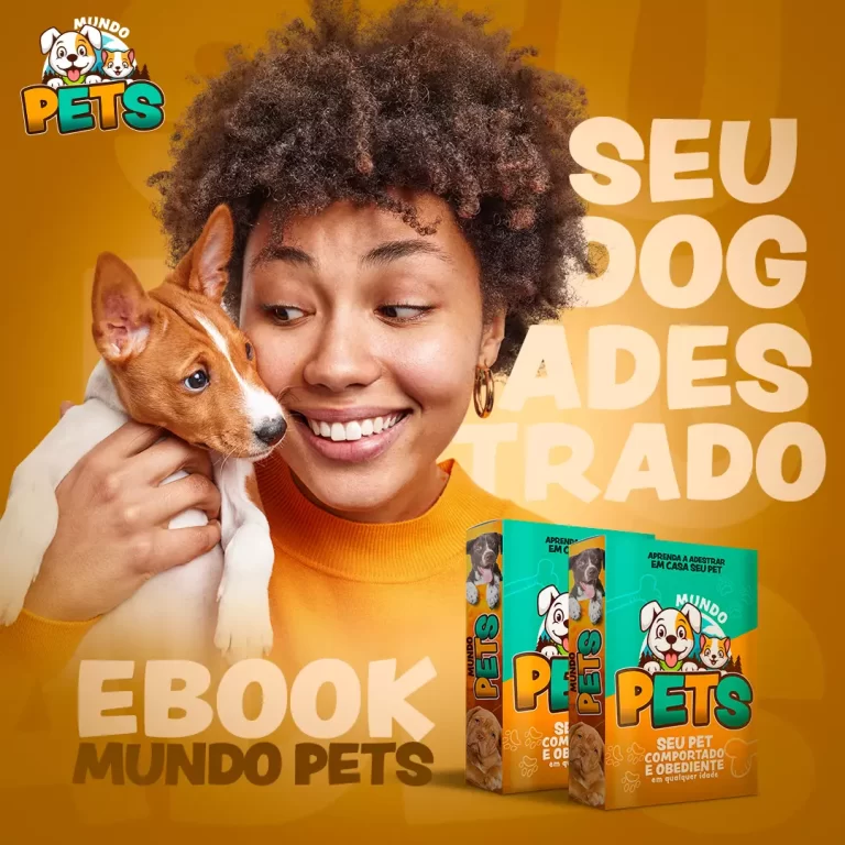 AnyConv.com__CRIATIVO-04-FEED